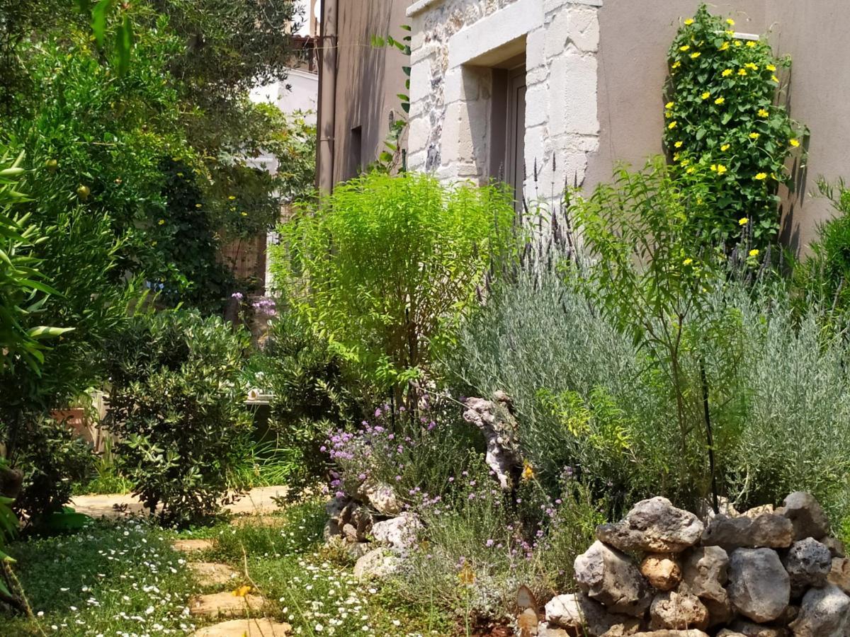 Olive Lemon Biophilic House & Lush Forest Garden Vamos Luaran gambar