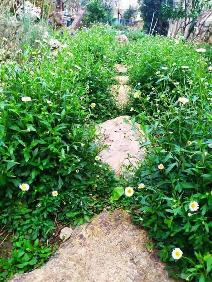 Olive Lemon Biophilic House & Lush Forest Garden Vamos Luaran gambar
