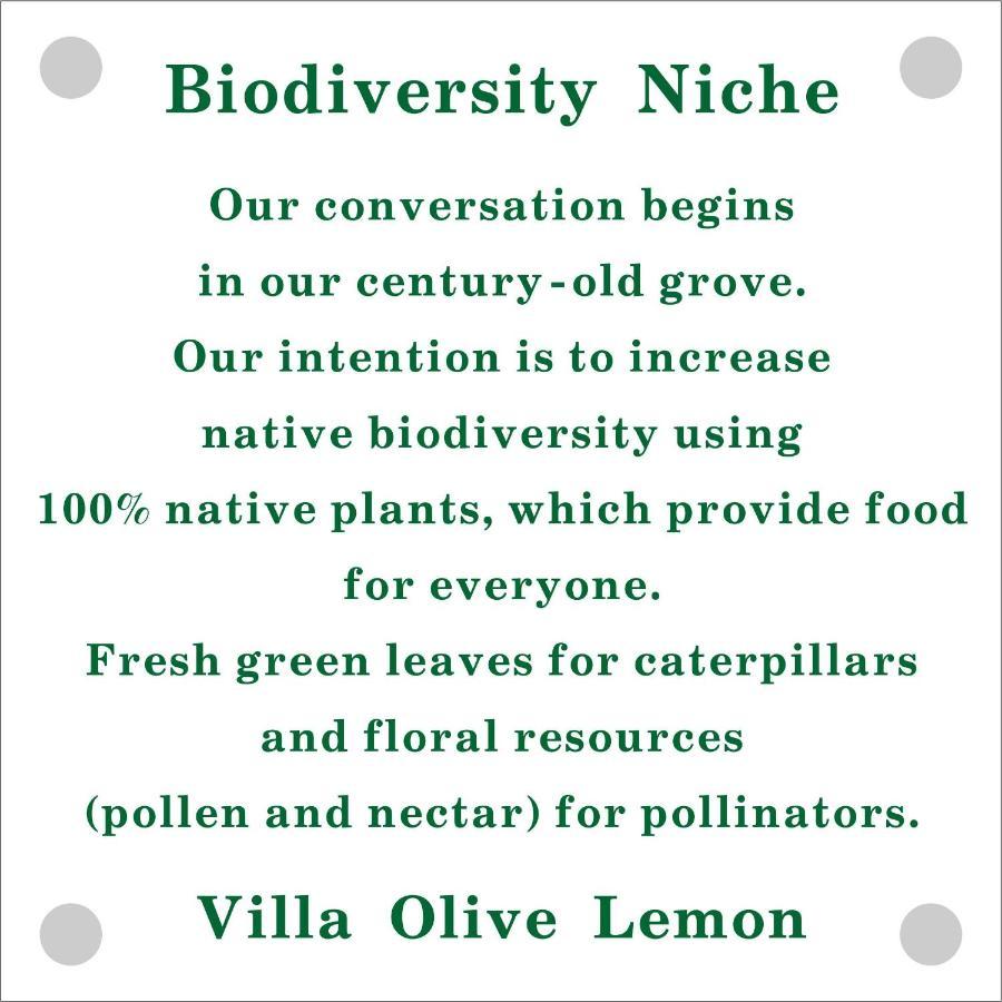 Olive Lemon Biophilic House & Lush Forest Garden Vamos Luaran gambar
