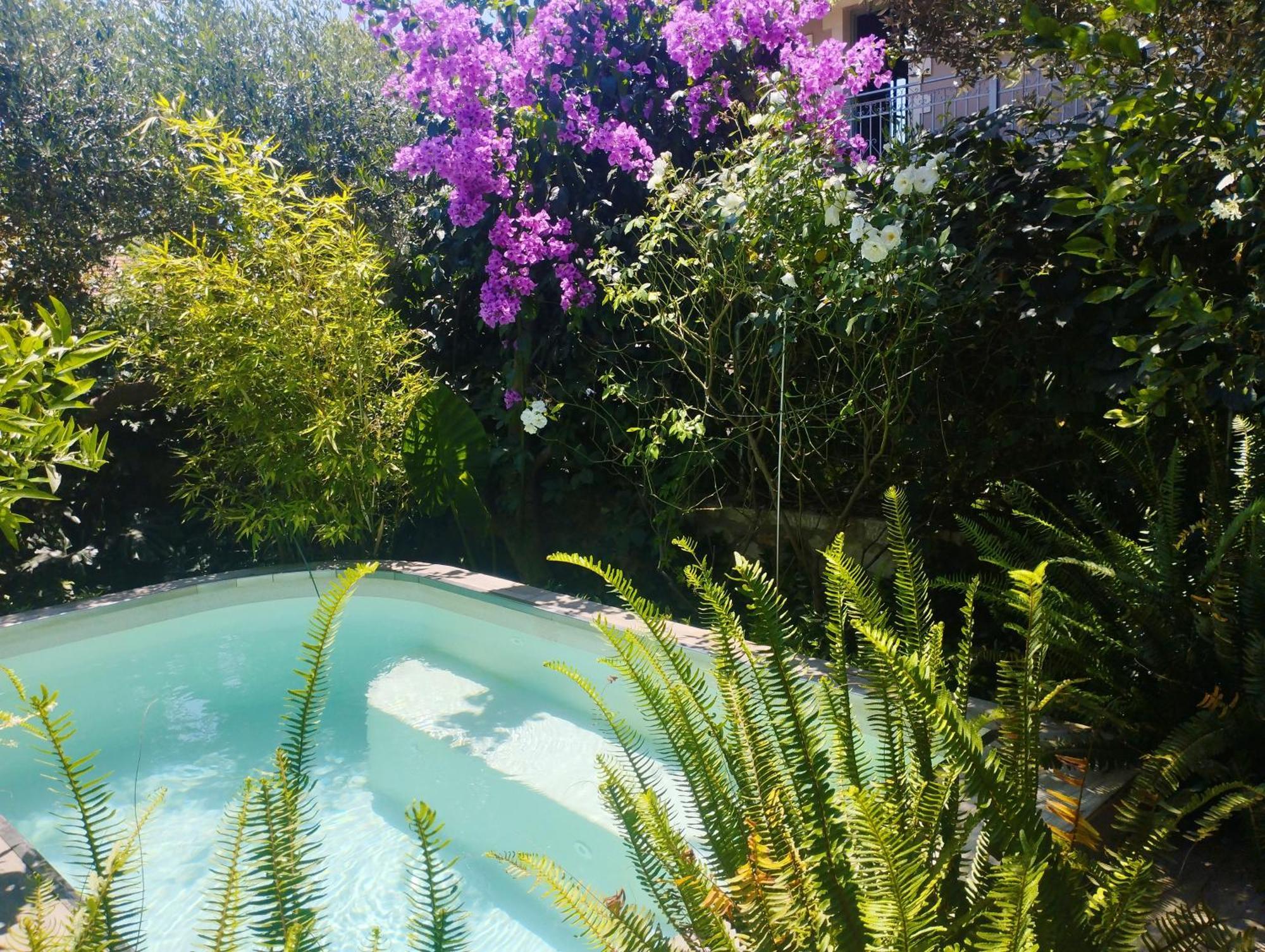 Olive Lemon Biophilic House & Lush Forest Garden Vamos Luaran gambar