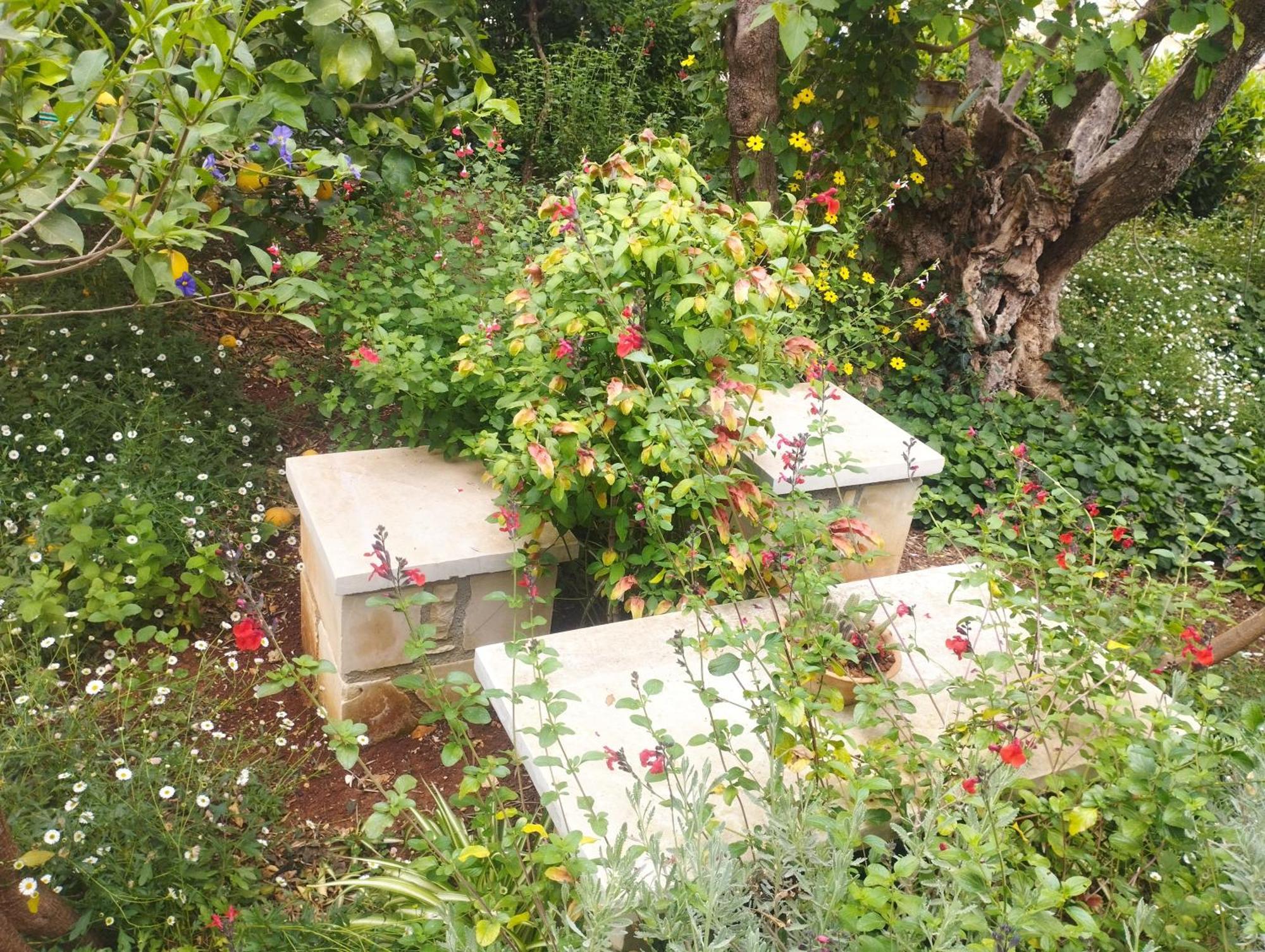 Olive Lemon Biophilic House & Lush Forest Garden Vamos Luaran gambar
