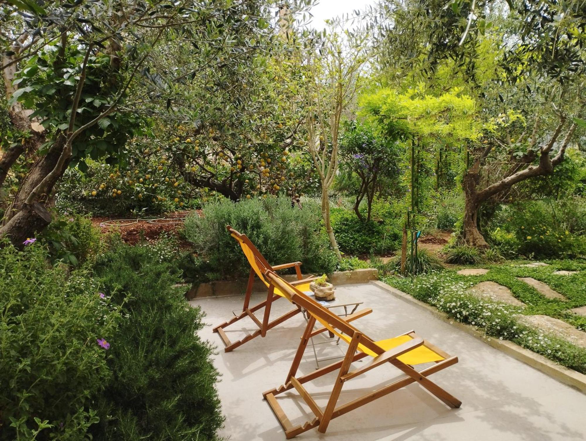 Olive Lemon Biophilic House & Lush Forest Garden Vamos Bilik gambar