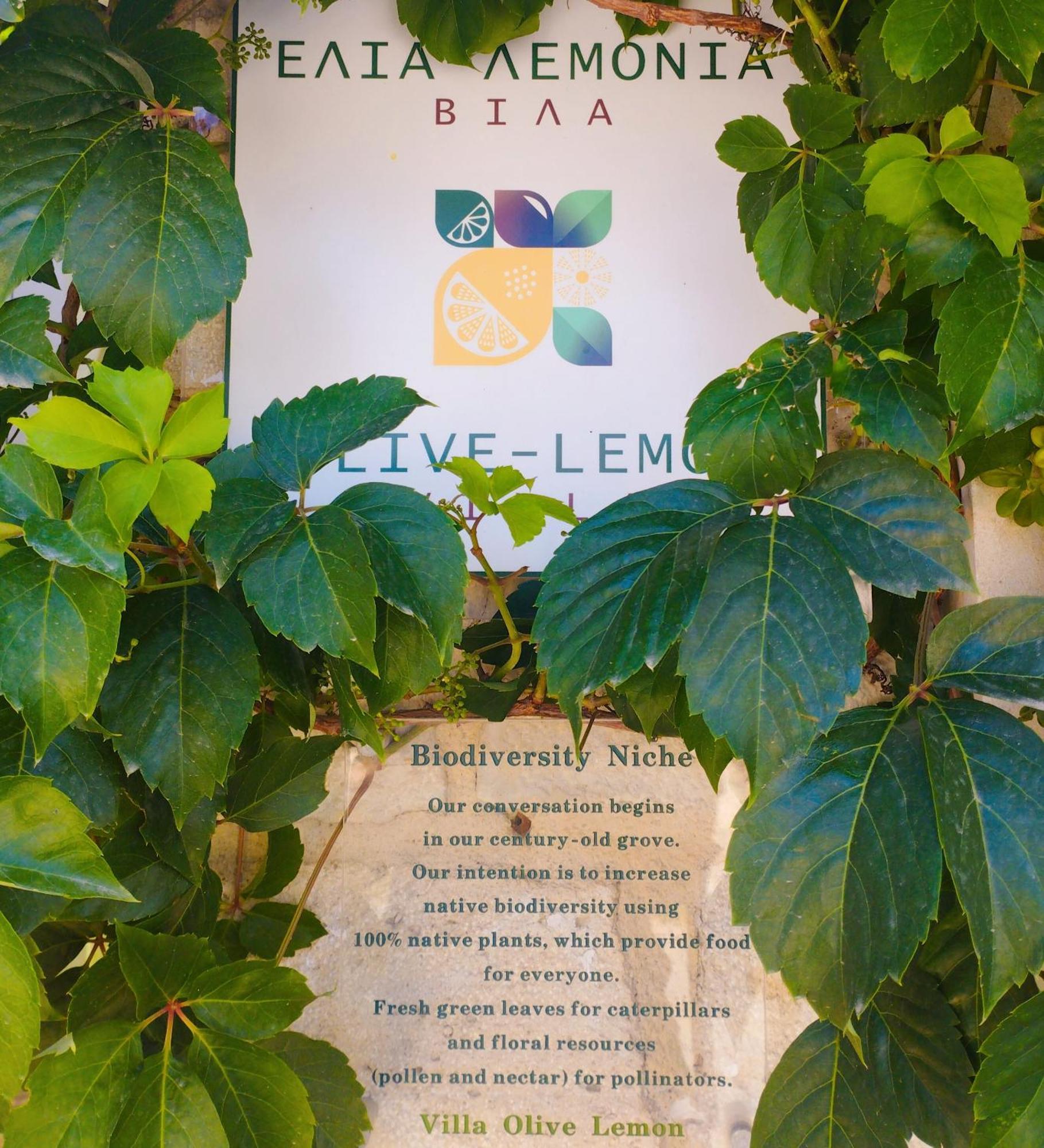 Olive Lemon Biophilic House & Lush Forest Garden Vamos Bilik gambar